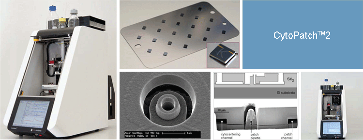 CytoPatch2